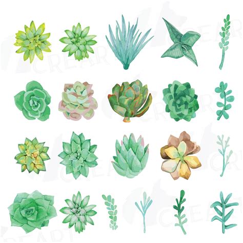 Printable Succulents